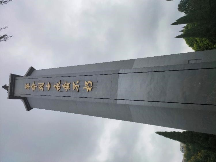 91视频